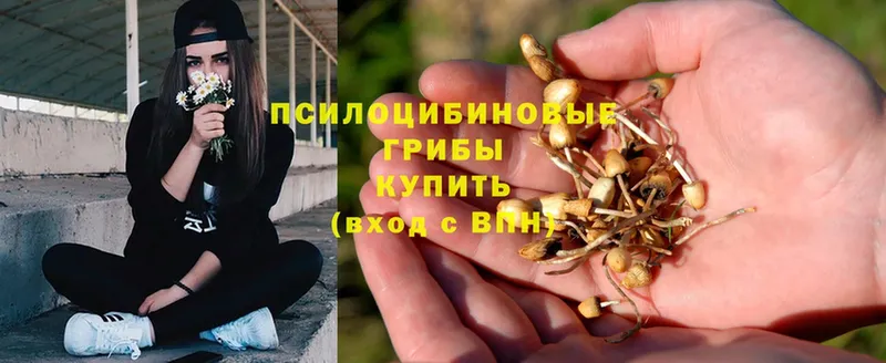 Псилоцибиновые грибы Magic Shrooms  Лесозаводск 