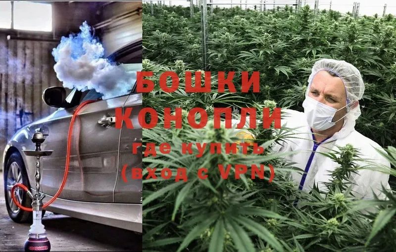 Каннабис Bruce Banner  Лесозаводск 